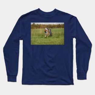 australian shepherd blue merle running with toy Long Sleeve T-Shirt